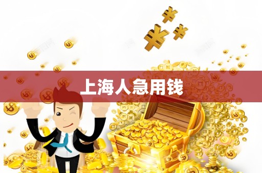 上海人急用钱