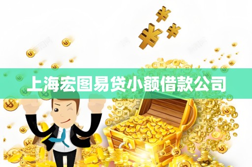 上海宏图易贷小额借款公司