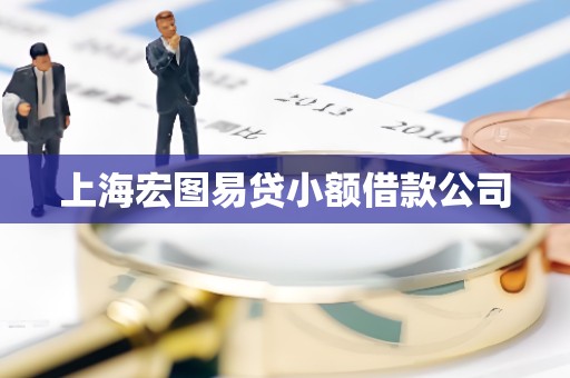 上海宏图易贷小额借款公司