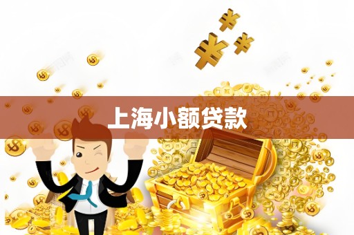 上海小额贷款